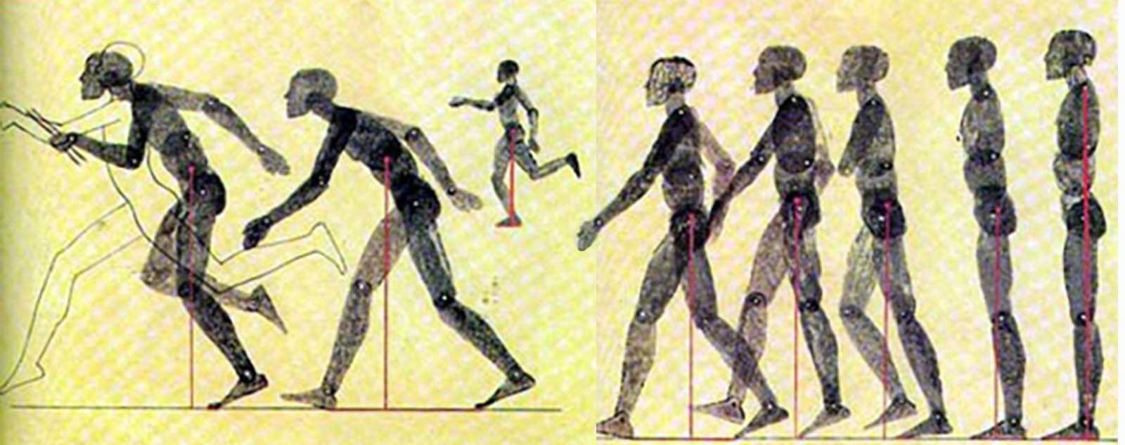 5 głównych poziomów ruchów budowlanych